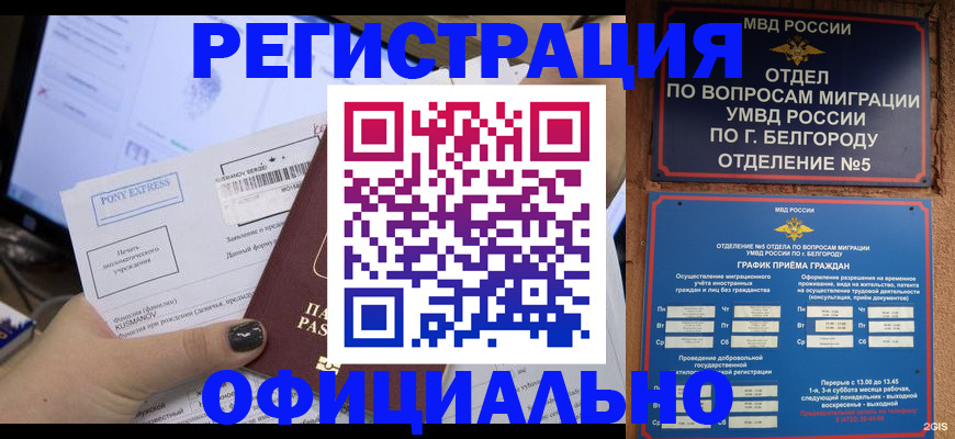 прописка для кредита в Тереке